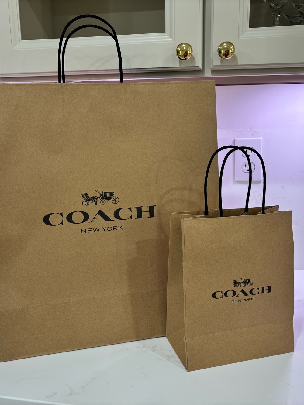 2 Coach Paper Shopping Bag Gift Bag with Logo (empty)
